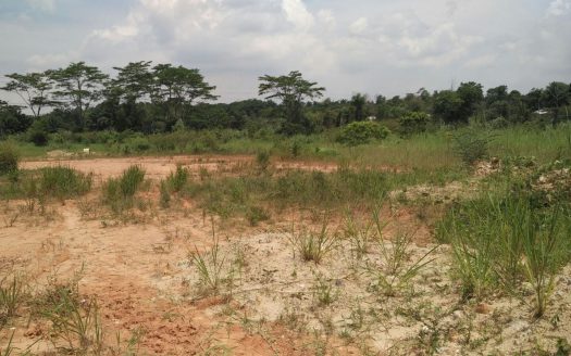 SeeLong Senai Medium Industrial Land for Sales
