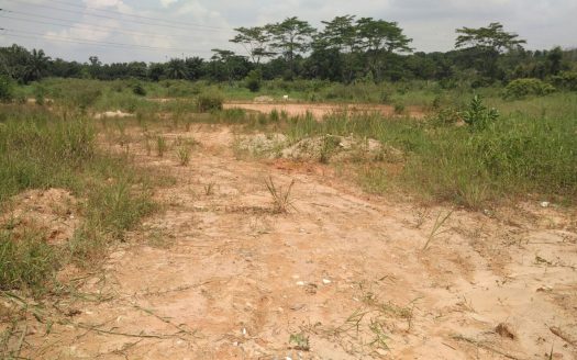 SeeLong Senai Medium Industrial Land for Sales