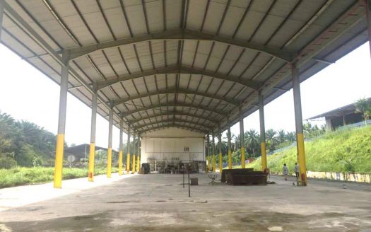 Pontian Factory For Sales