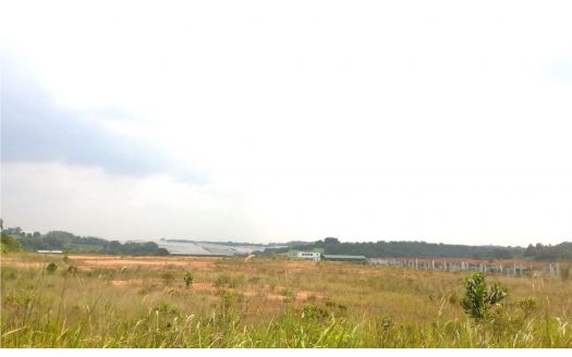 Seelong Senai Medium Industrial Land for Sales