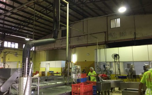 Factory at Tampoi for Rent