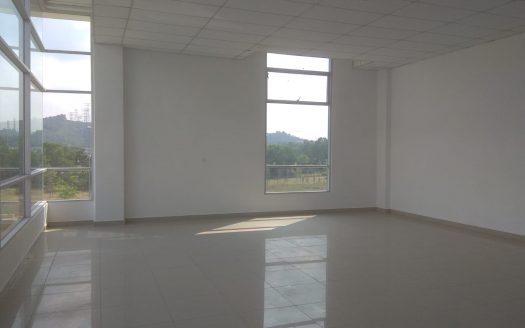 Semi Detached Factory At Nusajaya For Sales