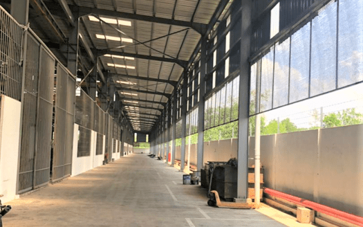 Pasir Gudang Detached Factory with 1200 AMP Power Supply For Rent