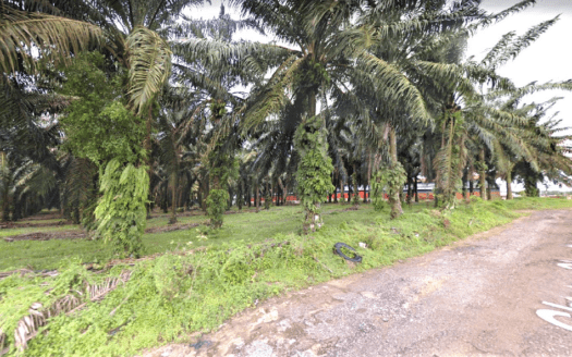 Senai Industrial Land For Sale