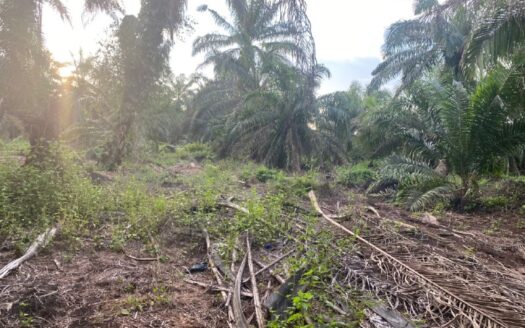 Pontian Zonning Residential Land For Sale