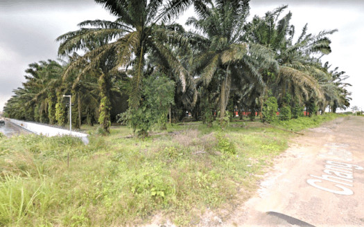 Senai Industrial Land For Sale