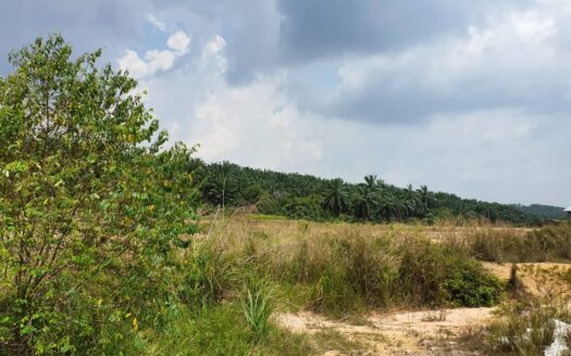 Ulu Choh Medium Industrial Land For Sale