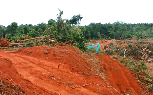 Tanjung Langsat Agriculture Land For Sale