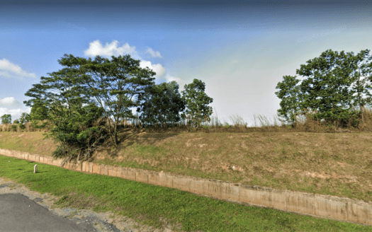 Tanjung Langsat Heavy Industrial Land For Sale