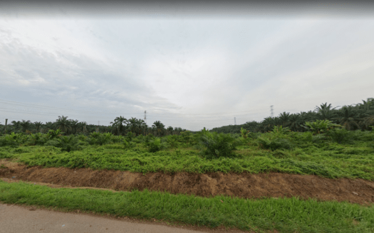 Pontian Agriculture Land For Sale