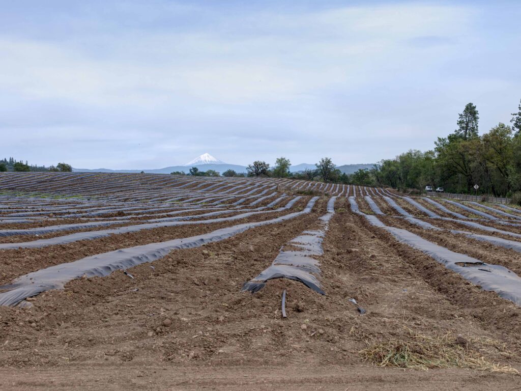 buying land purchase tips